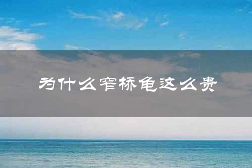 为什么窄桥龟这么贵