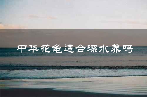 中华花龟适合深水养吗