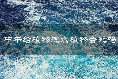 中午给植物浇水植物会死吗