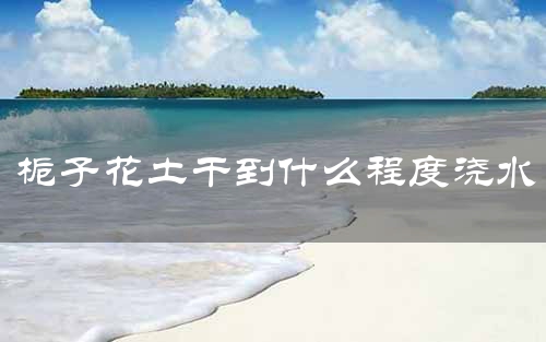 栀子花土干到什么程度浇水