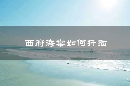 西府海棠如何扦插