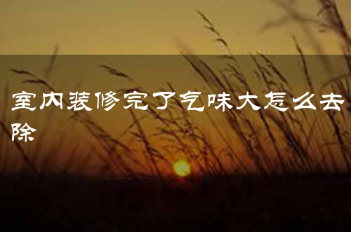 室内装修完了气味大怎么去除