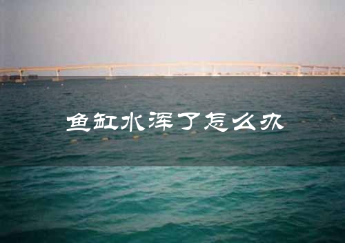 鱼缸水浑了怎么办