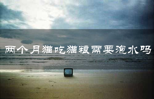 两个月猫吃猫粮需要泡水吗