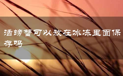 活螃蟹可以放在冰冻里面保存吗