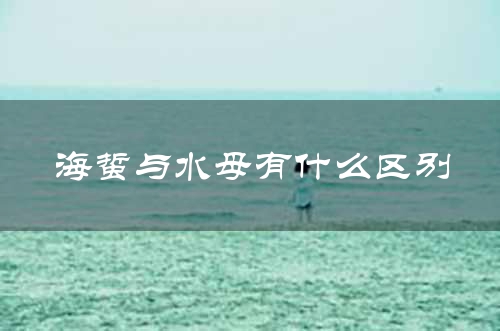 海蜇与水母有什么区别