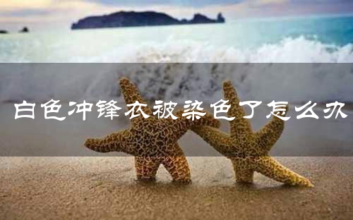 白色冲锋衣被染色了怎么办