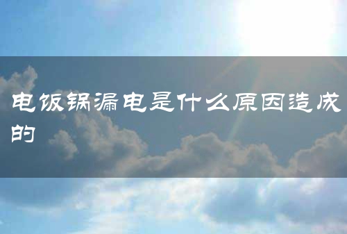 电饭锅漏电是什么原因造成的