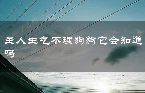 主人生气不理狗狗它会知道吗