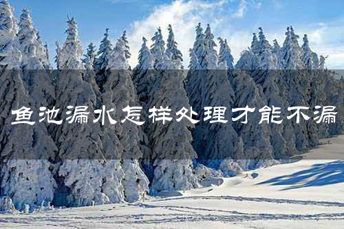 鱼池漏水怎样处理才能不漏