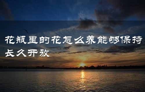 花瓶里的花怎么养能够保持长久开放