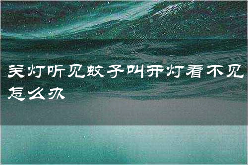 关灯听见蚊子叫开灯看不见怎么办