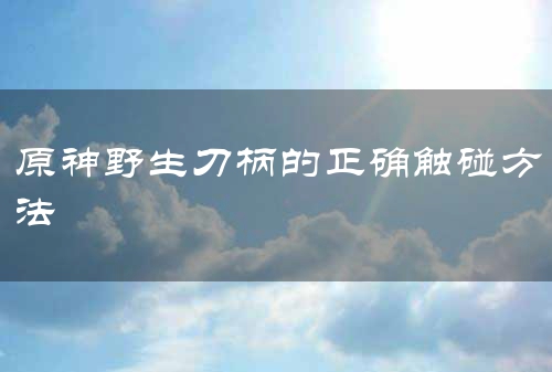 原神野生刀柄的正确触碰方法