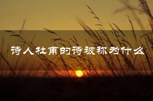 诗人杜甫的诗被称为什么