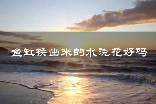 鱼缸换出来的水浇花好吗