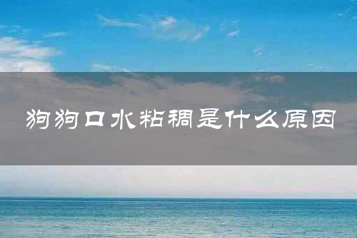 狗狗口水粘稠是什么原因