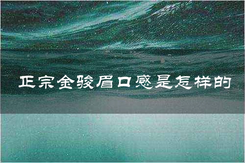 正宗金骏眉口感是怎样的