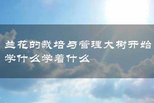 兰花的栽培与管理大树开始学什么学着什么