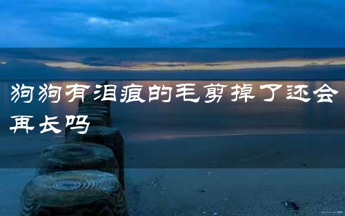 狗狗有泪痕的毛剪掉了还会再长吗